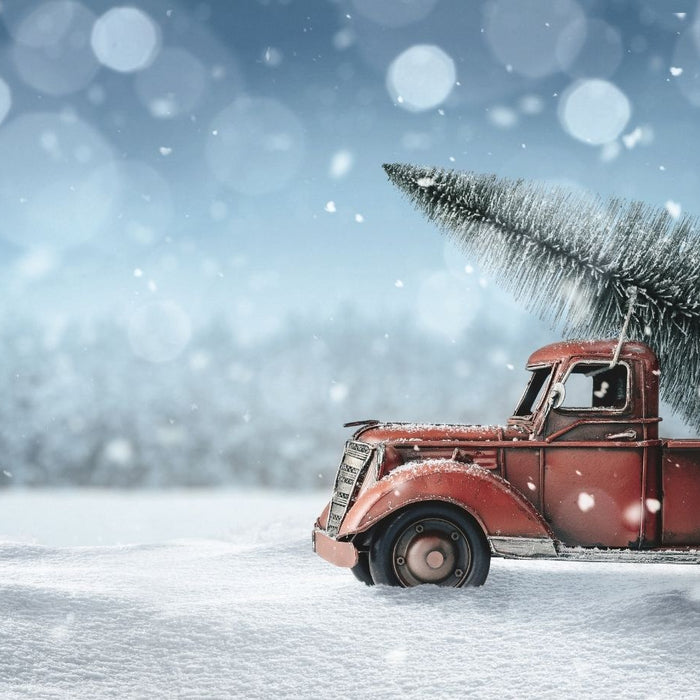Practical Gift Ideas for Truck Drivers (2025 Update)